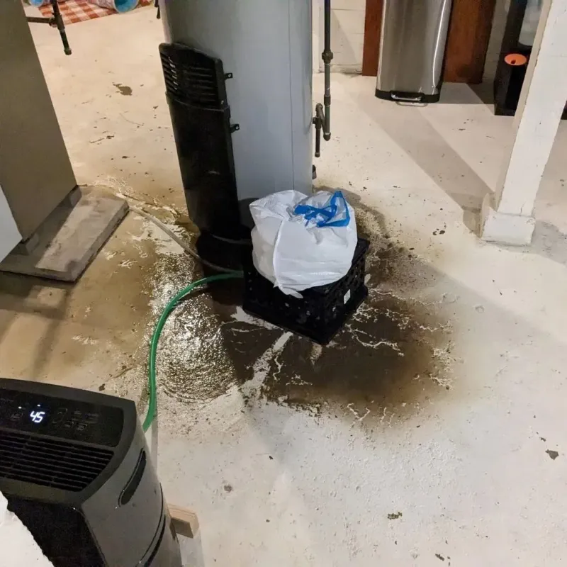 Sewage Backup Cleanup Service in Choctaw County, AL